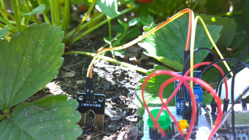 Moisture Sensor